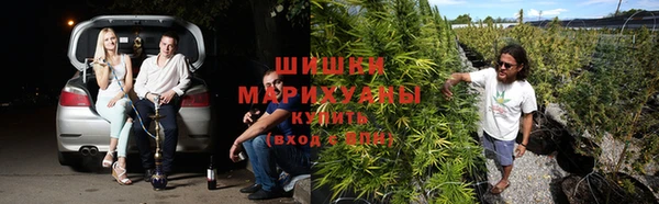 стафф Абдулино