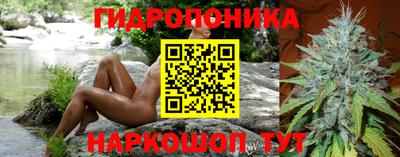 хмурый Обь