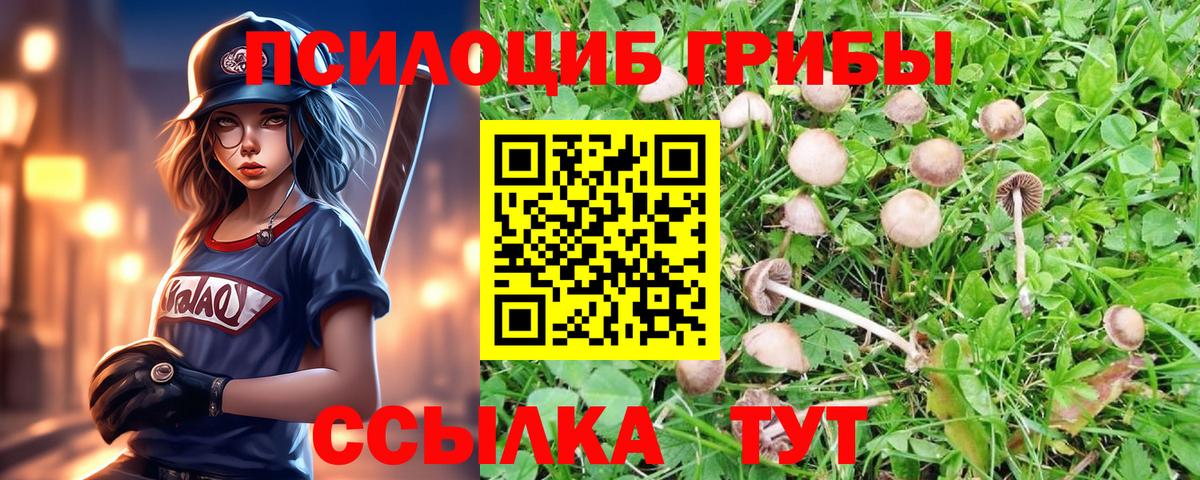 Галлюциногенные грибы Psilocybine cubensis  Галлюциногенные грибы мицелий  Россошь  Вход с VPN 